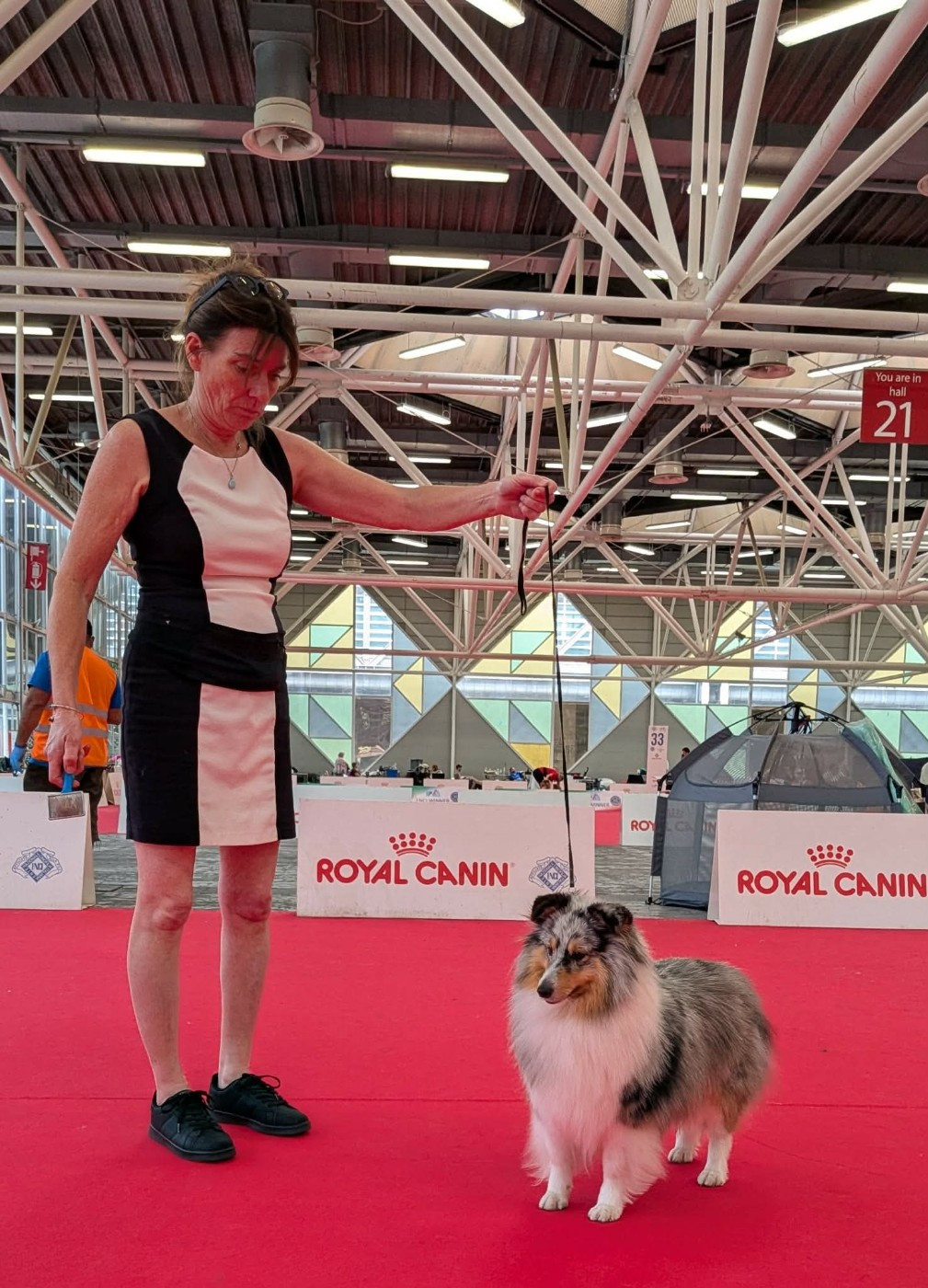 VIP de la colline d ans au World Dog show